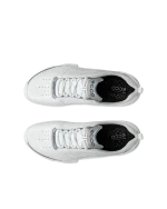 09150401007 ecco BIOM C